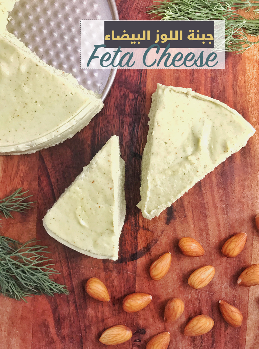 كتاب مطبخ بلا طبيخ د. داريا دغريري- نسخة إلكترونية