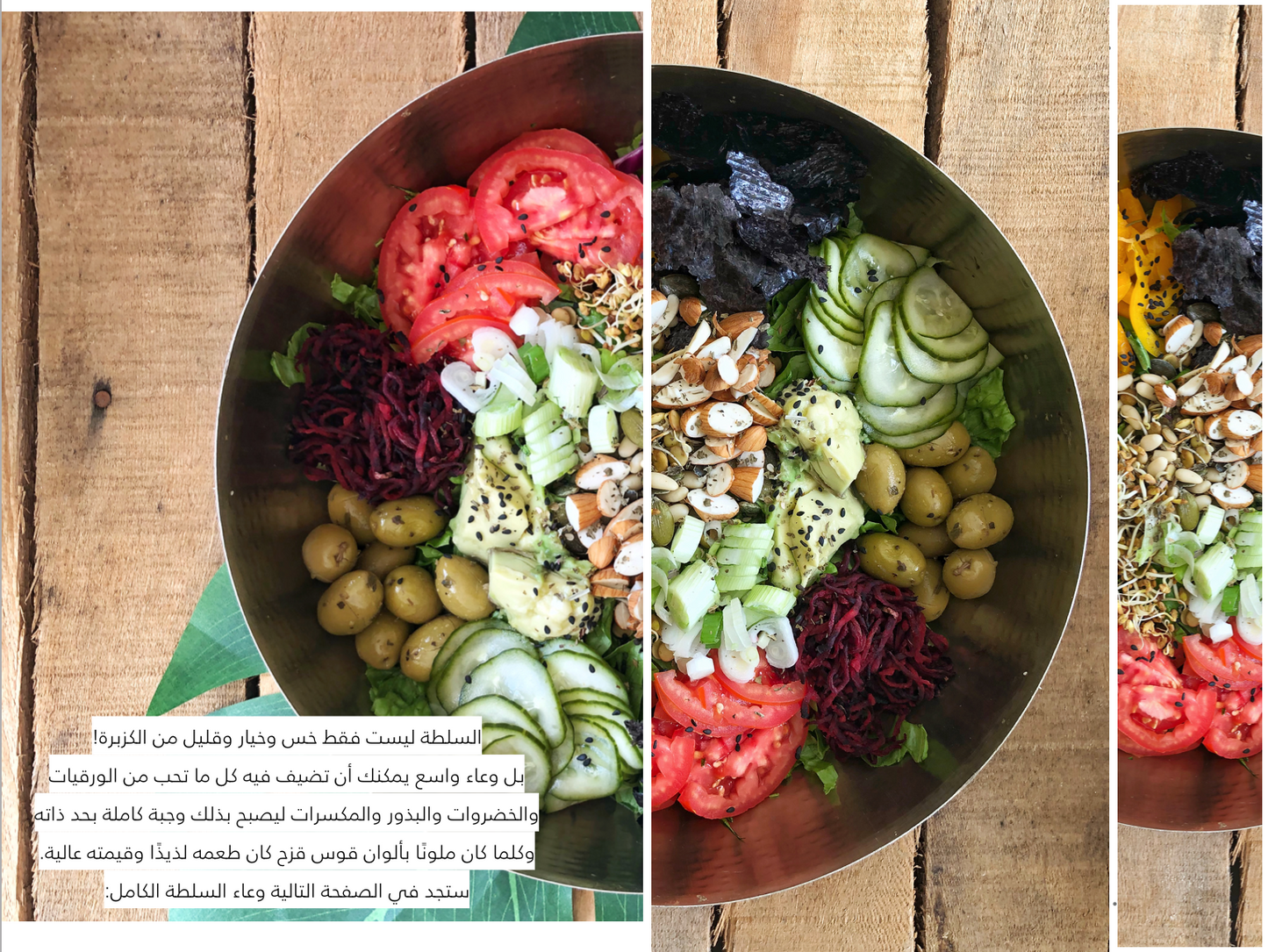 كتاب مطبخ بلا طبيخ د. داريا دغريري- نسخة إلكترونية