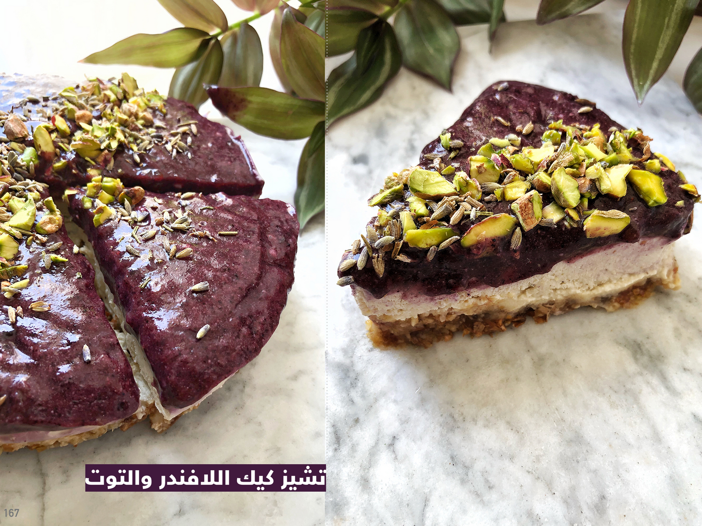 كتاب مطبخ بلا طبيخ د. داريا دغريري- نسخة إلكترونية